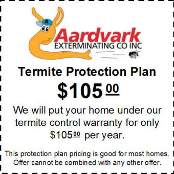 Aardvark Termite Treatment